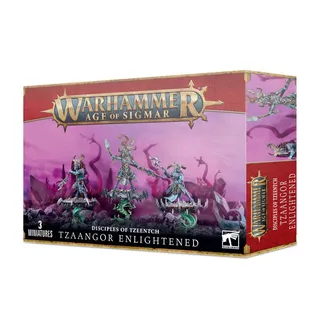 Referenzfoto von Tzaangor Enlightened