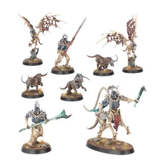 Foto de referencia de Teratic Cohort