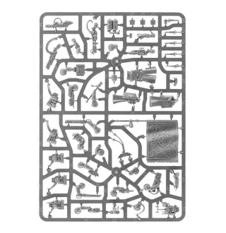 Zeigt die Reihe Astra Militarum und nicht Militarum Tempestus Command Squad im Besonderen — dasselbe Bild steht für 2 Einheiten dieser Armee.