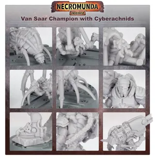 Van Saar Champion in Carapace Armour with Cyberachnids reference photo
