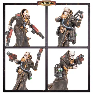 Показує серію House Delaque, а не саме Delaque Underhive Crew — те саме зображення представляє 3 підрозділи цієї армії.
