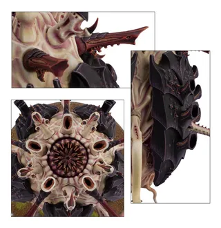 Referenzfoto von Tyrannocyte