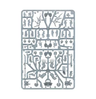 Muestra la gama Chaos Space Marines y no Warp Talons en particular — la misma imagen representa a 2 unidades de este ejército.