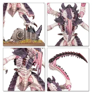 Zeigt die Reihe Tyranids und nicht Neurotyrant im Besonderen — dasselbe Bild steht für 5 Einheiten dieser Armee.