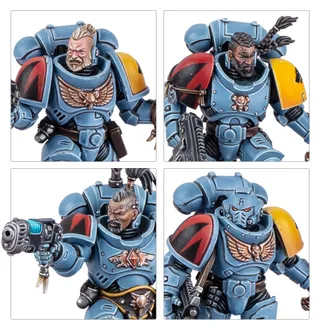 Zdjęcie referencyjne Grey Hunters