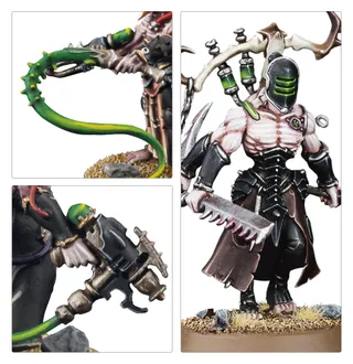 Wracks reference photo