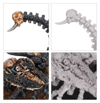 Tomb Scorpion reference photo