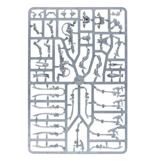 Pokazuje serię Aeldari, a nie konkretnie Wraithblades — to samo zdjęcie reprezentuje 2 jednostki tej armii.