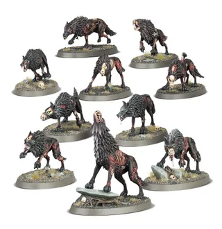 Референсне фото Dire Wolves