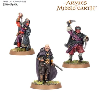 Shows the Corsairs of Umbar range rather than Dalamyr, Fleetmaster of Umbar in particular — the same picture stands for 2 units of this army.