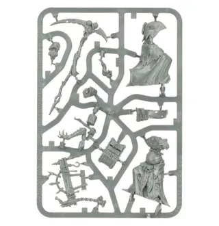 Pokazuje serię Chaos Dwarfs, a nie konkretnie Sorcerer-Prophet — to samo zdjęcie reprezentuje 2 jednostki tej armii.