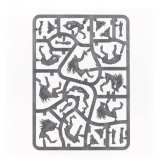 Референсне фото Kroot Hounds