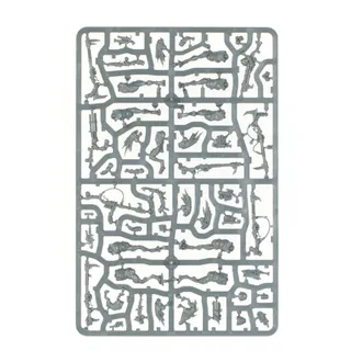 Zdjęcie referencyjne Kroot Carnivores