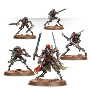 Zeigt die Reihe Adeptus Mechanicus und nicht Sicarian Infiltrators im Besonderen — dasselbe Bild steht für 2 Einheiten dieser Armee.