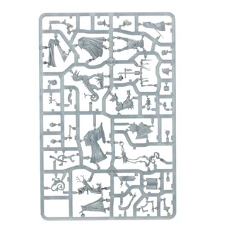 Muestra la gama Cities of Sigmar y no Black Guard en particular — la misma imagen representa a 11 unidades de este ejército.