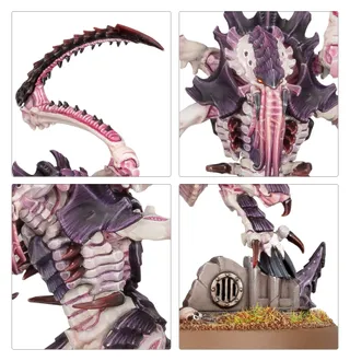 Referenzfoto von Lictor