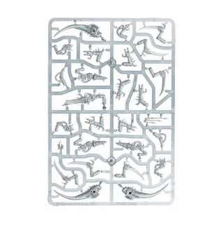 Zeigt die Reihe Tyranids und nicht Neurotyrant im Besonderen — dasselbe Bild steht für 5 Einheiten dieser Armee.