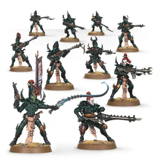 Ynnari Kabalite Warriors reference photo