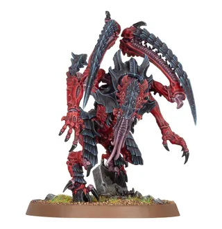 Referenzfoto von Lictor