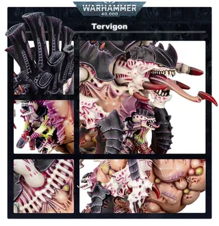 Foto de referencia de Tervigon