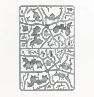 Muestra la gama Cities of Sigmar y no Freeguild Cavaliers en particular — la misma imagen representa a 2 unidades de este ejército.