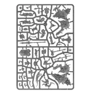 Varanguard reference photo