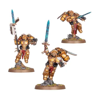 Показує серію Blood Angels, а не саме Sanguinary Guard — те саме зображення представляє 10 підрозділів цієї армії.