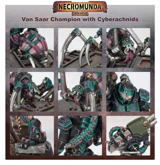 Van Saar Champion in Carapace Armour with Cyberachnids reference photo