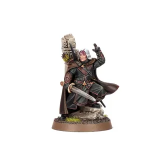 Pokazuje serię Minas Tirith, a nie konkretnie Damrod, Ranger of Ithilien — to samo zdjęcie reprezentuje 4 jednostki tej armii.