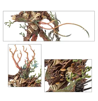 Referenzfoto von Treelord