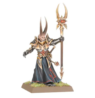 Muestra la gama Warriors of Chaos - Wolves of the Sea y no Exalted Sorcerer en particular — la misma imagen representa a 2 unidades de este ejército.