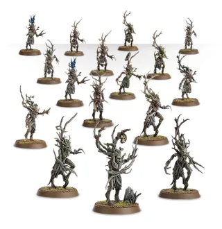 Referenzfoto von Dryads