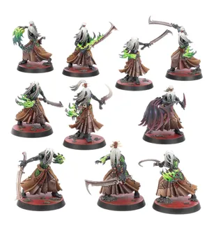 Foto de referencia de Mandrakes