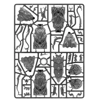 Referenzfoto von Tyrannocyte