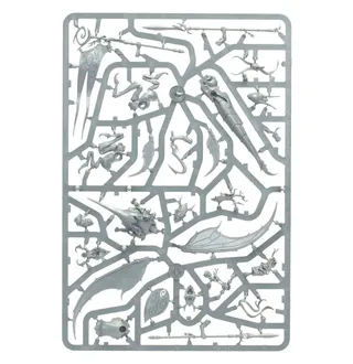Zeigt die Reihe Sylvaneth und nicht Skaeth's Wild Hunt im Besonderen — dasselbe Bild steht für 2 Einheiten dieser Armee.