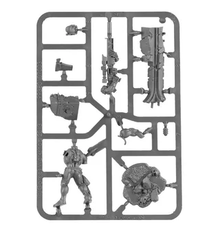 Referenzfoto von Vindicare Assassin