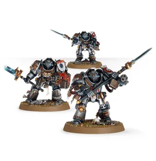 Grey Knights Terminator Squad reference photo