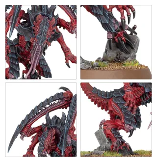 Referenzfoto von Lictor