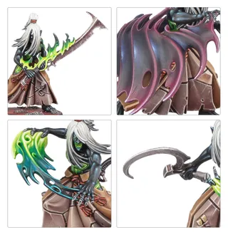 Foto de referencia de Mandrakes