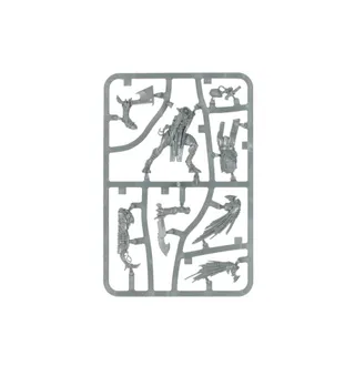 Kroot Flesh Shaper reference photo