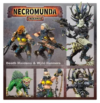 Shows the House Escher range rather than Escher Death-maidens and Wyld Runners in particular — the same picture stands for 3 units of this army.