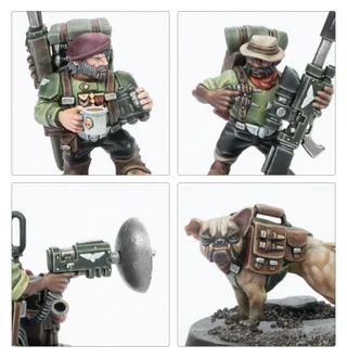 Referenzfoto von Ratlings
