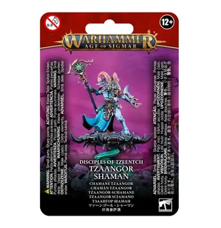 Zdjęcie referencyjne Tzaangor Shaman