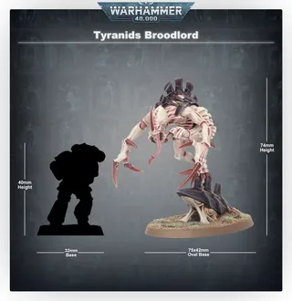 Zdjęcie referencyjne Broodlord