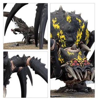 Referenzfoto von Skitterstrand Arachnarok