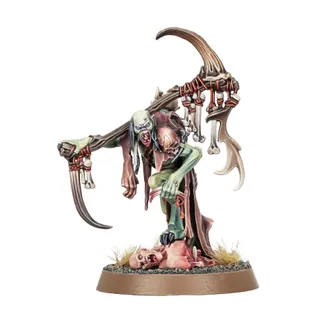 Marrowscroll Herald reference photo