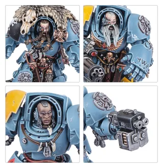Muestra la gama Space Wolves y no Wolf Guard Terminators en particular — la misma imagen representa a 7 unidades de este ejército.