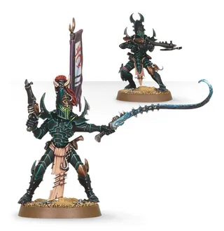 Ynnari Kabalite Warriors reference photo