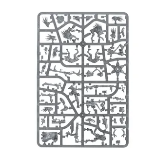 Референсне фото Kroot Farstalkers