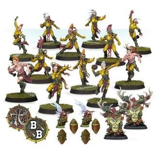 Zeigt die Reihe Wood Elf und nicht Wardancer im Besonderen — dasselbe Bild steht für 3 Einheiten dieser Armee.
